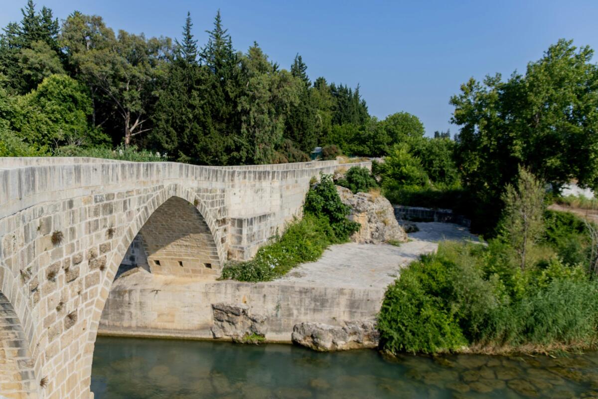 Il ponte tra reale e digitale: esperienze dal vivo nell’era tecnologica - 