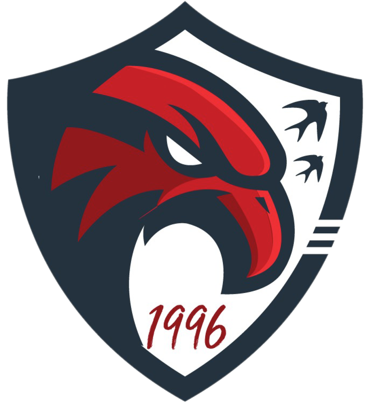 L'Eagles Aprilia chiude l'anno con una vittoria - 