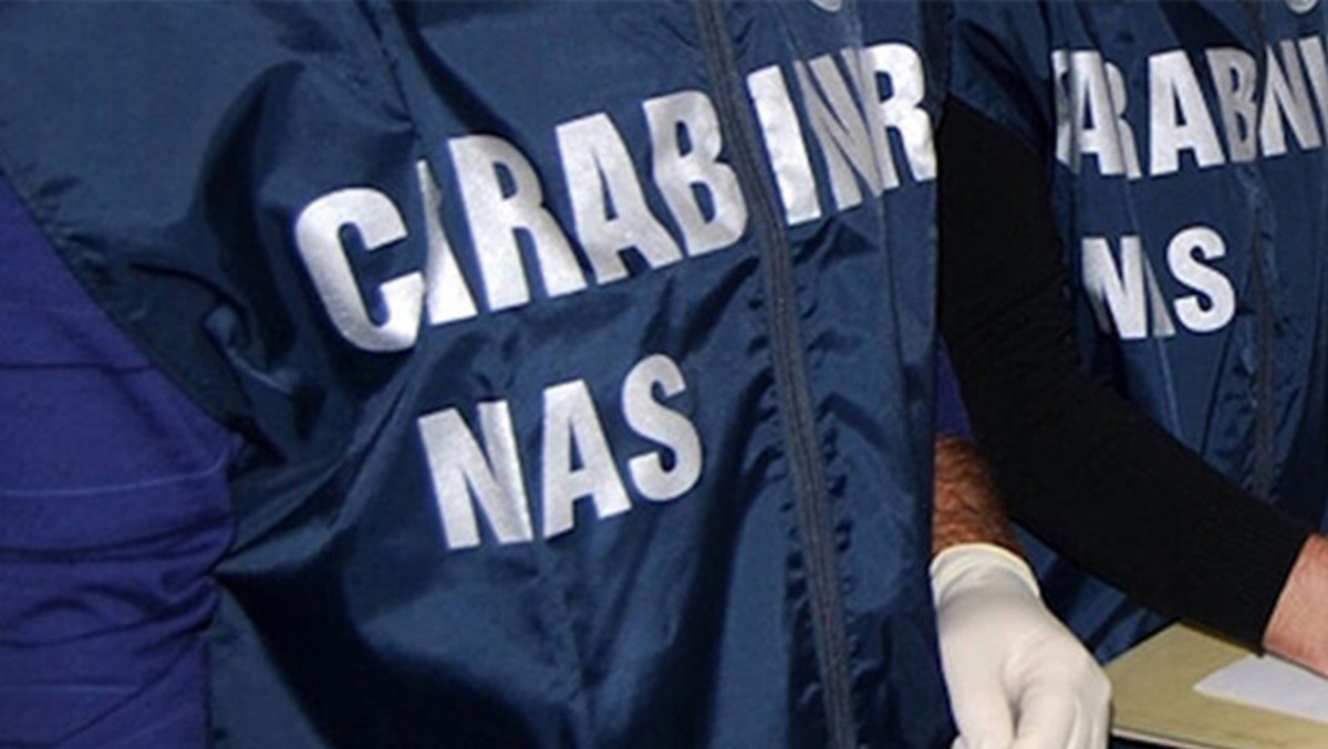 Sicurezza alimentare, il Nas di Latina sequestra 850 chilogrammi di prodotti natalizi. Sospese due attività. - 