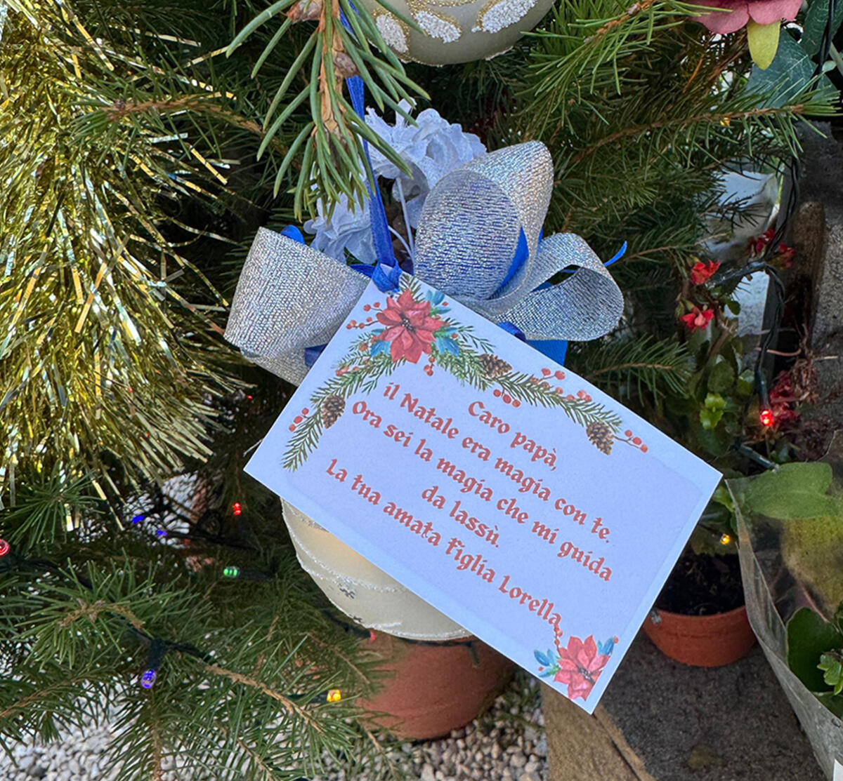 A Lanuvio la cerimonia "Albero del Ricordo" - 