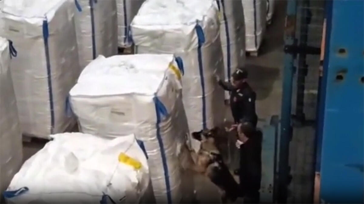 Duro colpo ai narcos: sequestrati 138 chili di cocaina pura giunta dalla Spagna. - 