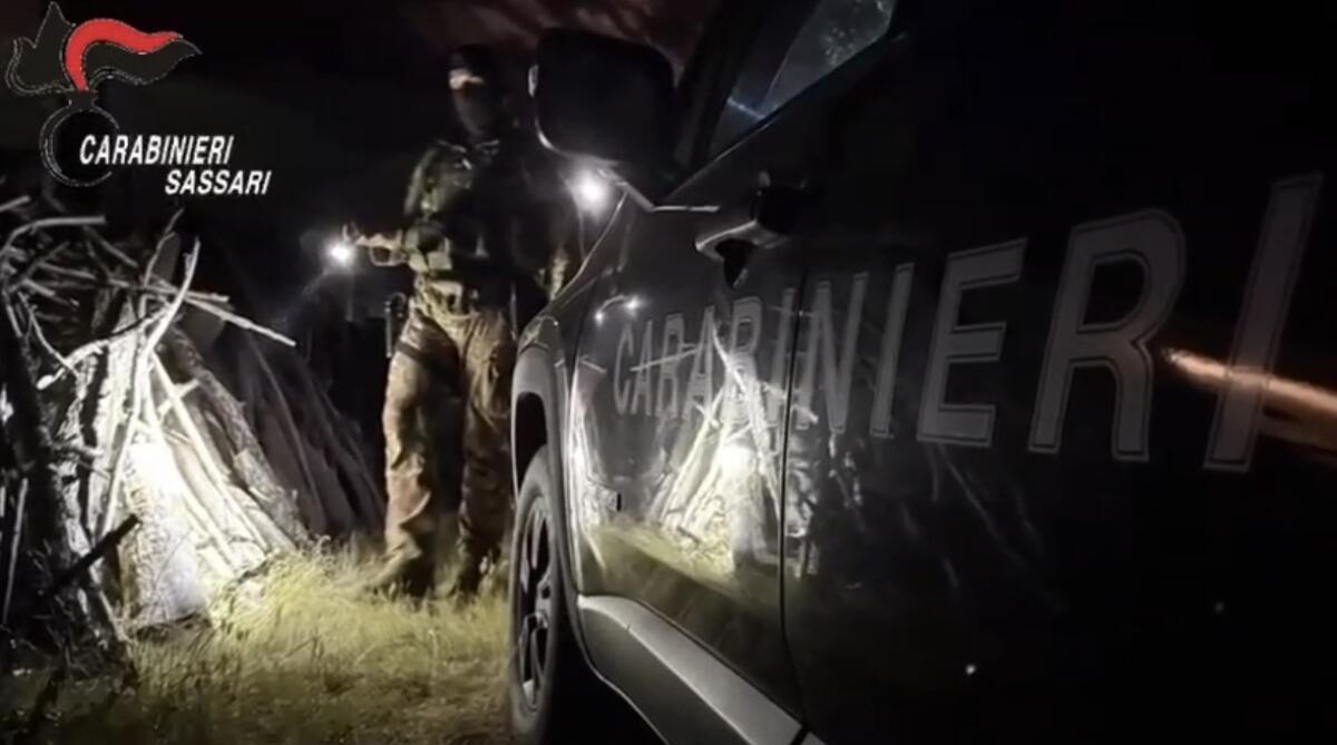 Maxi operazione antidroga ad Olbia, arresti anche a Latina - 