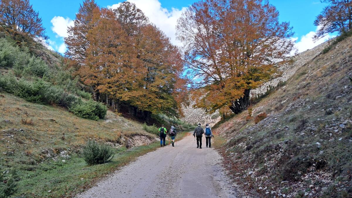 Il Cai di Aprilia vi porta sull'Appia Antica - 