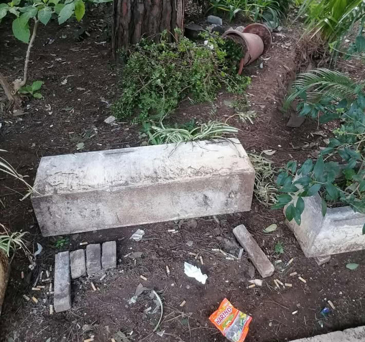 Aprilia - Vandali alla Pinetina di via degli Oleandri: "Basta" - 