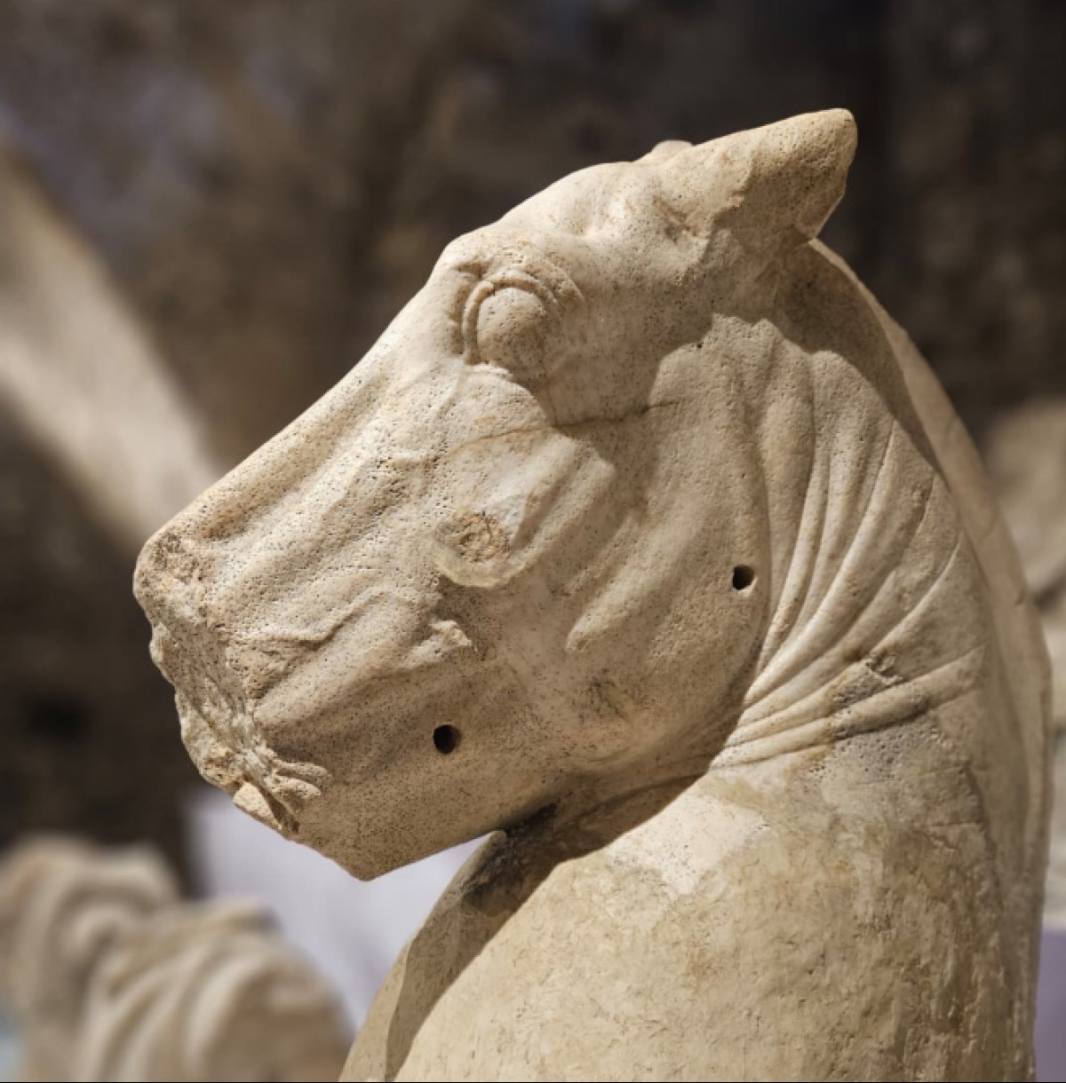 Sulle orme di Lord Savile Lumley, il progetto teatrale che unisce Lanuvio e l'Inghilterra - 