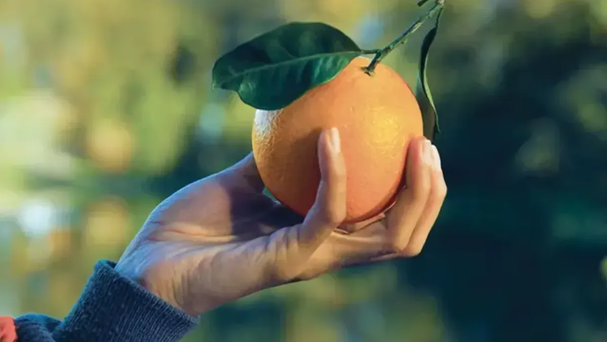 Tornano le arance della salute della Fondazione Airc. - 