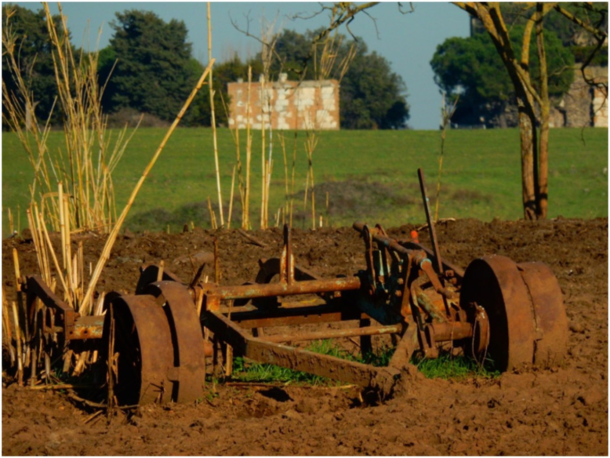Al Parco Regionale dell’Appia antica per la prima volta un cartellone di eventi culturali - 