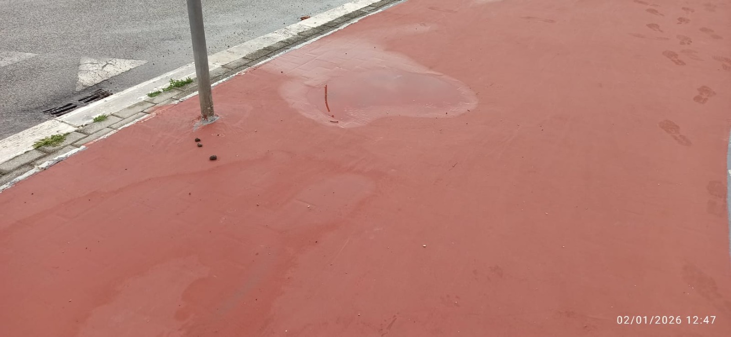 Aprilia, pista ciclabile in via Marsica: "Troppi dubbi" - 