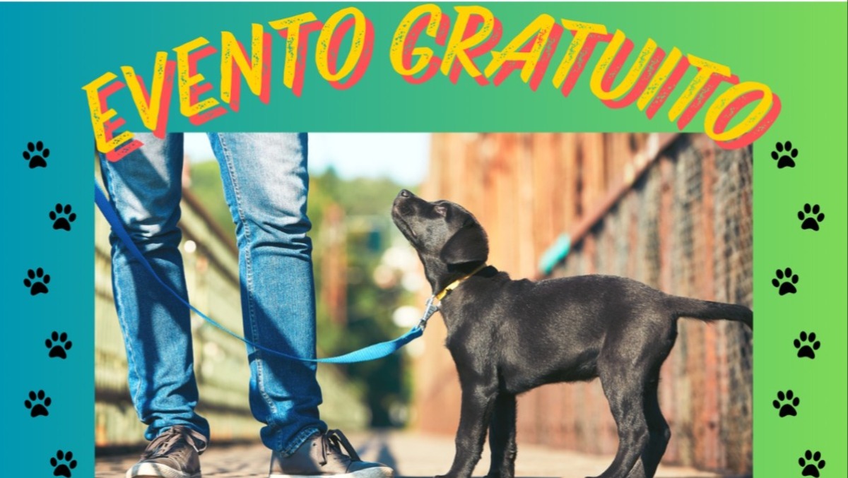 Aprilia, gestione dei propri cani. L’associazione “Un Cane per Amico” organizza un evento gratuito. - 