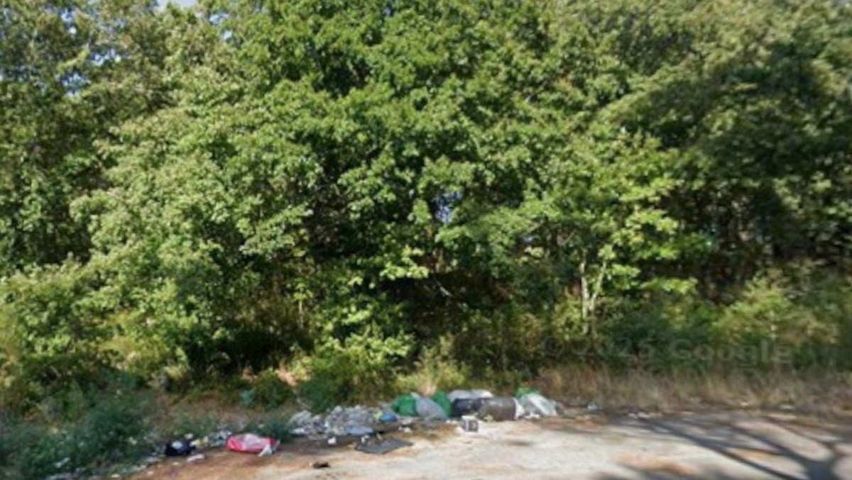 Intervento di pulizia straordinaria in via della Campana. - 