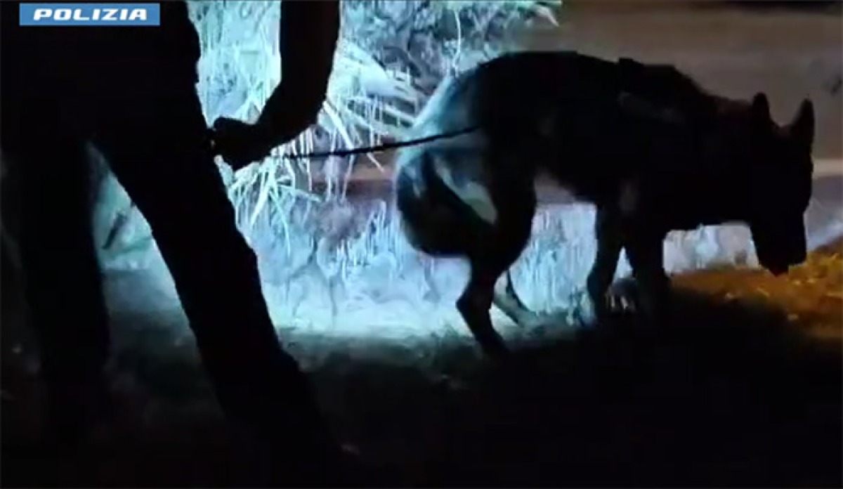 Colpita un'importante piazza di spaccio della Capitale. Sequestri anche ad Aprilia, Ardea e Nettuno. - 