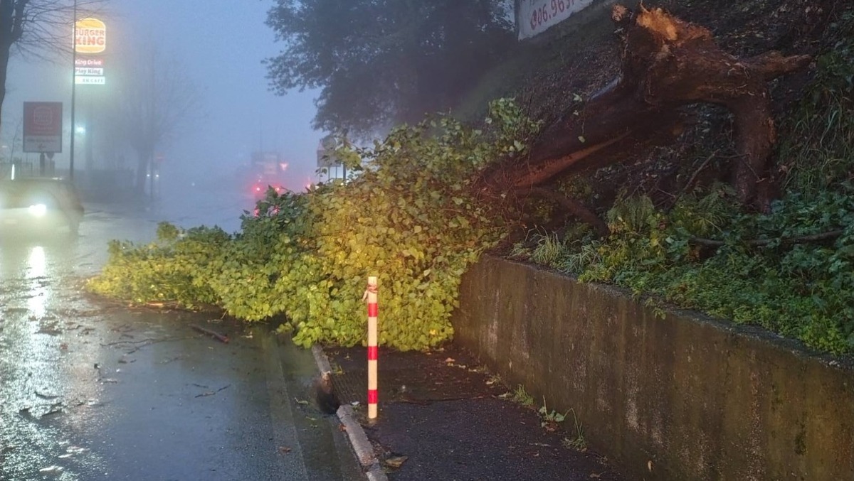 Maltempo a Velletri: alberi sulla sede stradale e tombini divelti. - 