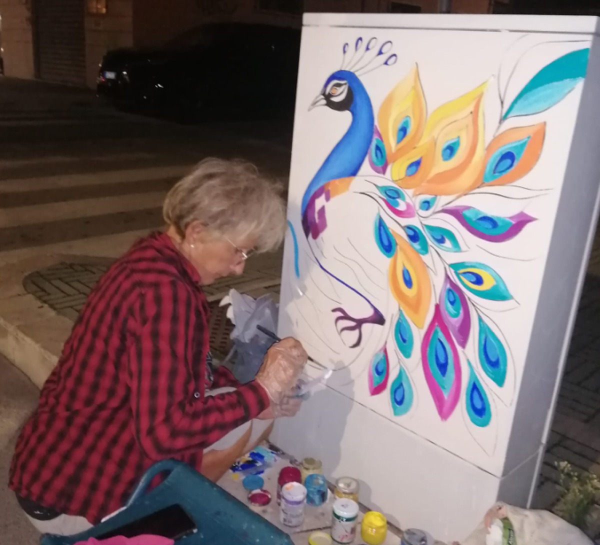 Aprilia - Rubata la bici di Agnese, è lei che riempie di colore la città - 