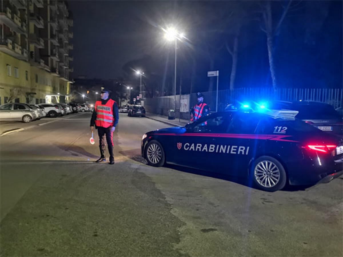 Sicurezza sul lavoro, verifiche in un'azienda agricola di Aprilia: denunciato il titolare - 