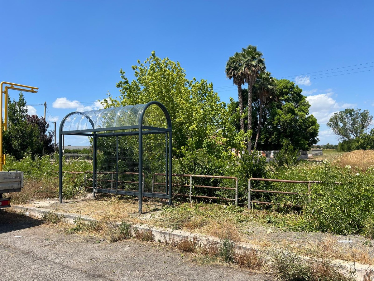 Pensiline a Latina, "Il Bilancio non ci consente interventi" - 