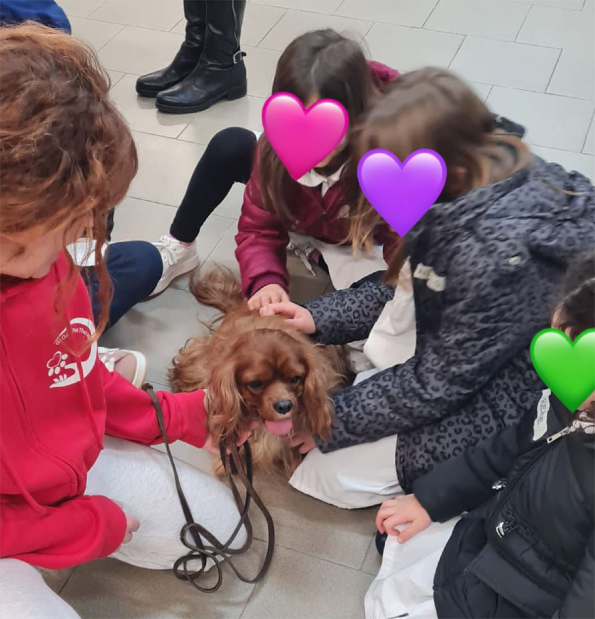 Aprilia - Pet Therapy a scuola: si conclude il percorso alla primaria di Montarelli - 