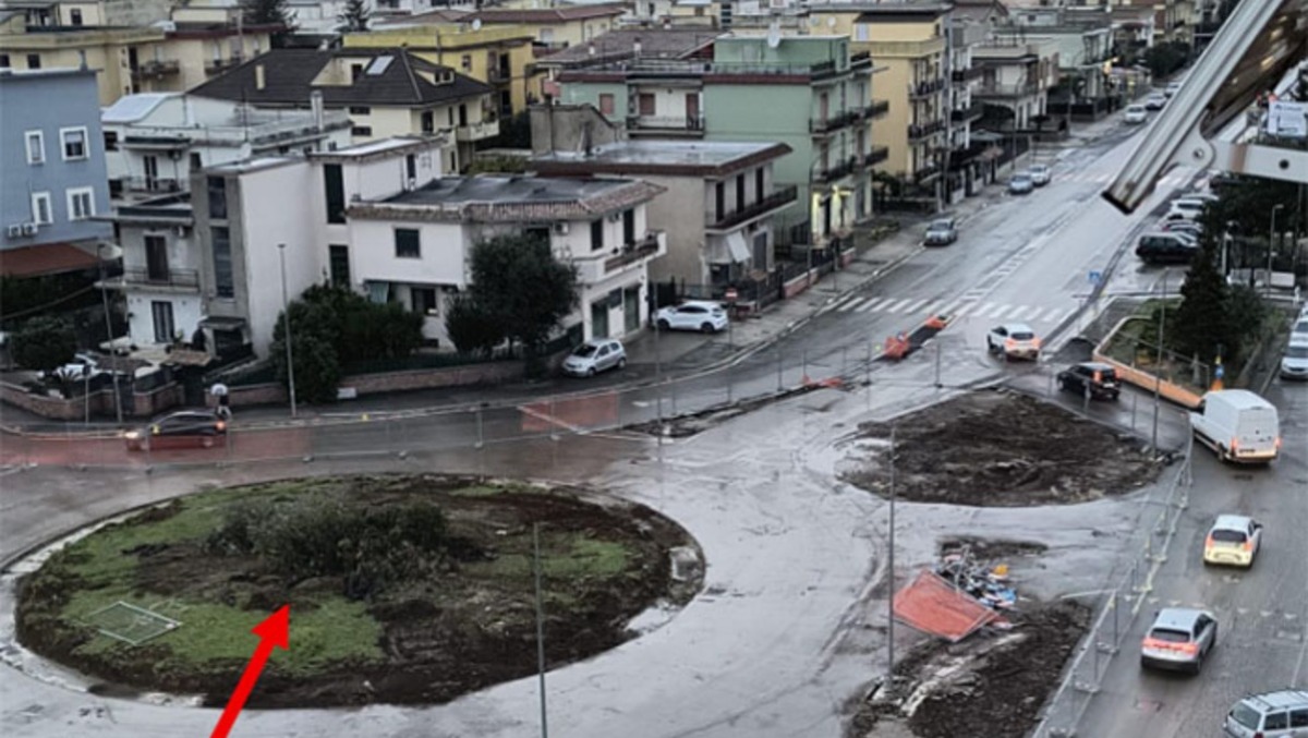 Aprilia, lavori in via Ugo La Malfa. Abbattuto il vecchio olivo della rotatoria davanti alla chiesa di Santi Pietro e Paolo. - 