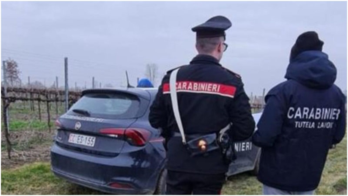 Controlli in un'azienda agricola: titolare denunciato, maxi multa da 17mila euro - 