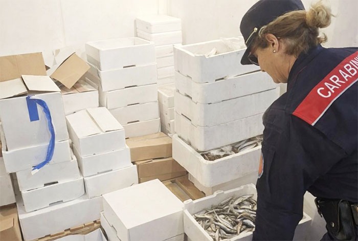 Prodotti ittici messi in vendita senza tracciabilità ed etichettatura: ispezione in una pescheria di Formia. - 