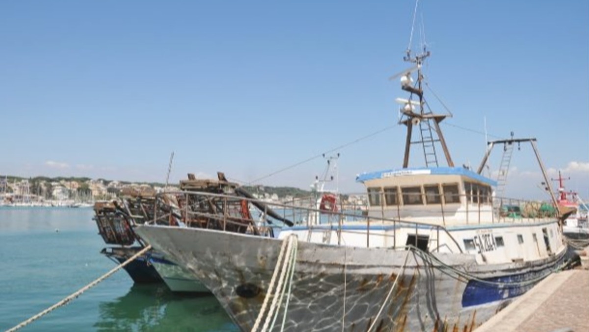 Insabbiamento del canale di accesso al porto di Anzio: “necessario un tavolo tecnico”. - 