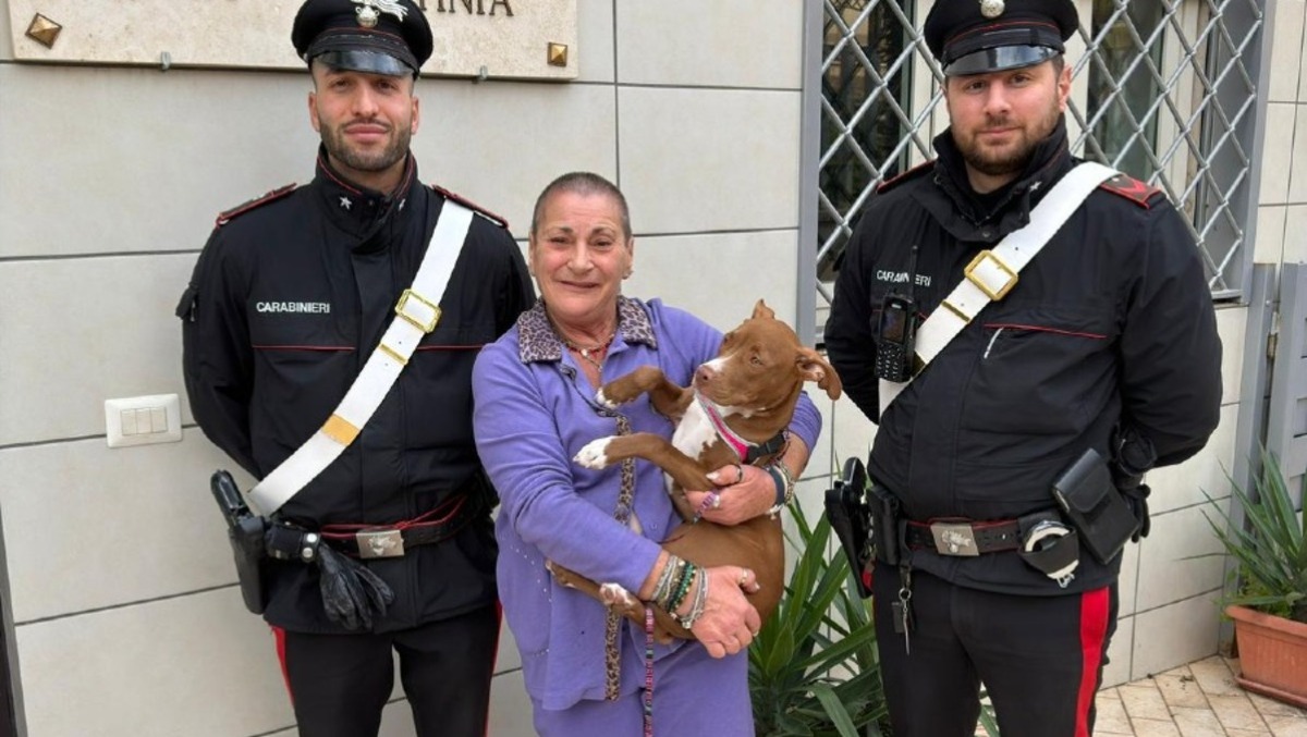 Tenta di estorcere denaro per restituire “Shary”, un cucciolo di pitbull sottratto a una donna. - 