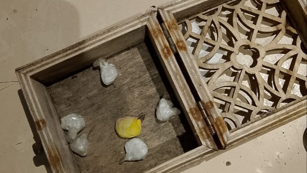 Fermata con la cocaina, 33enne arrestata dalla polizia di Latina - 