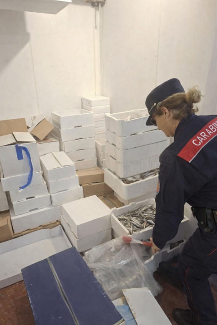 Sequestro prodotti ittici_Carabinieri Formia