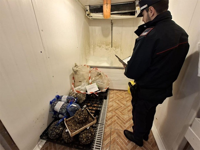 Sequestro prodotti ittici_Carabinieri Formia