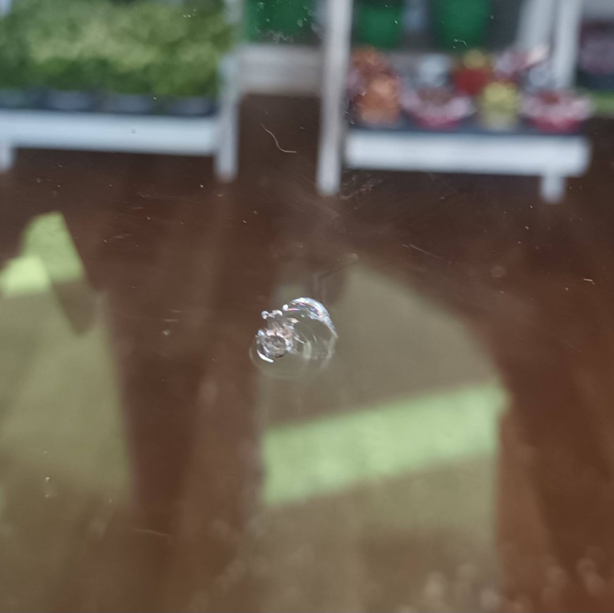 la fioreria in via dei Cipressi, ad Aprilia