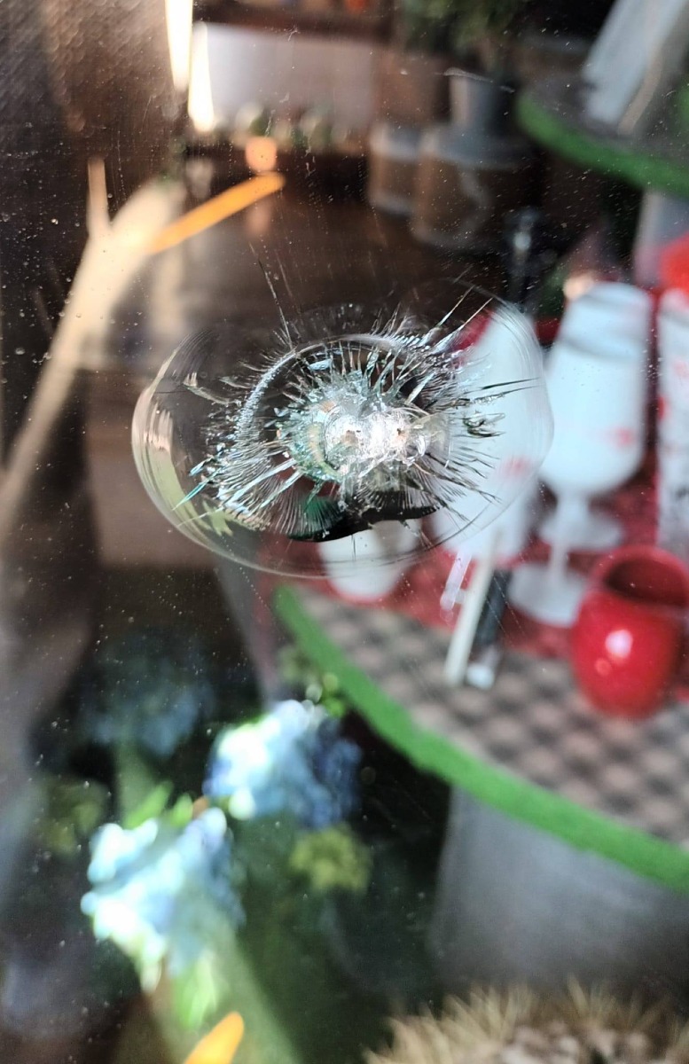 la fioreria in via dei Cipressi, ad Aprilia