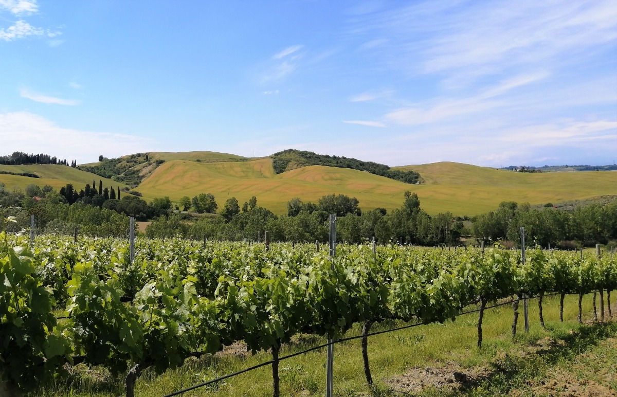 L’associazione Montagna Libera di Aprilia propone un trekking di 3 giorni sulla Via Romea Sanese. - 