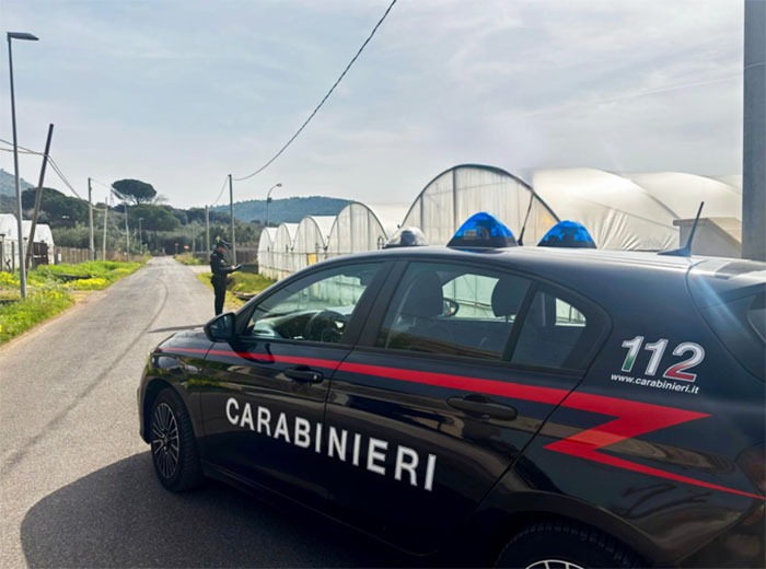 Occupano un terreno sequestrato a Campoverde e installano delle serre. Tre denunce. - 