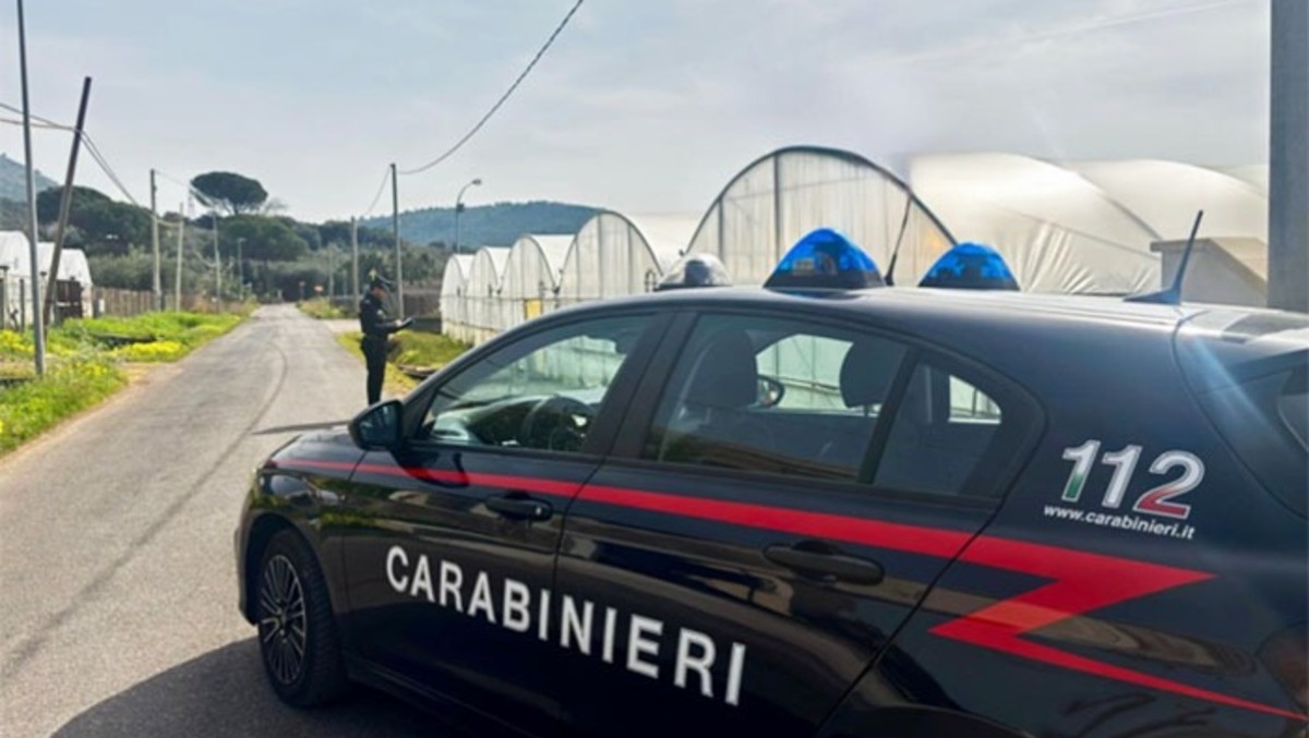 Blitz dei Carabinieri in un’azienda agricola di Terracina. Sospesa l’attività. - 