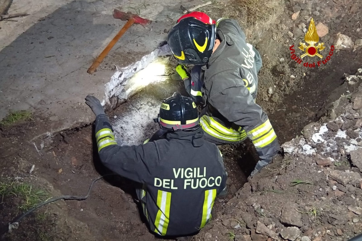 "Frodo" incastrato in un tubo di scarico, cane salvato dai vigili del fuoco di Latina - 