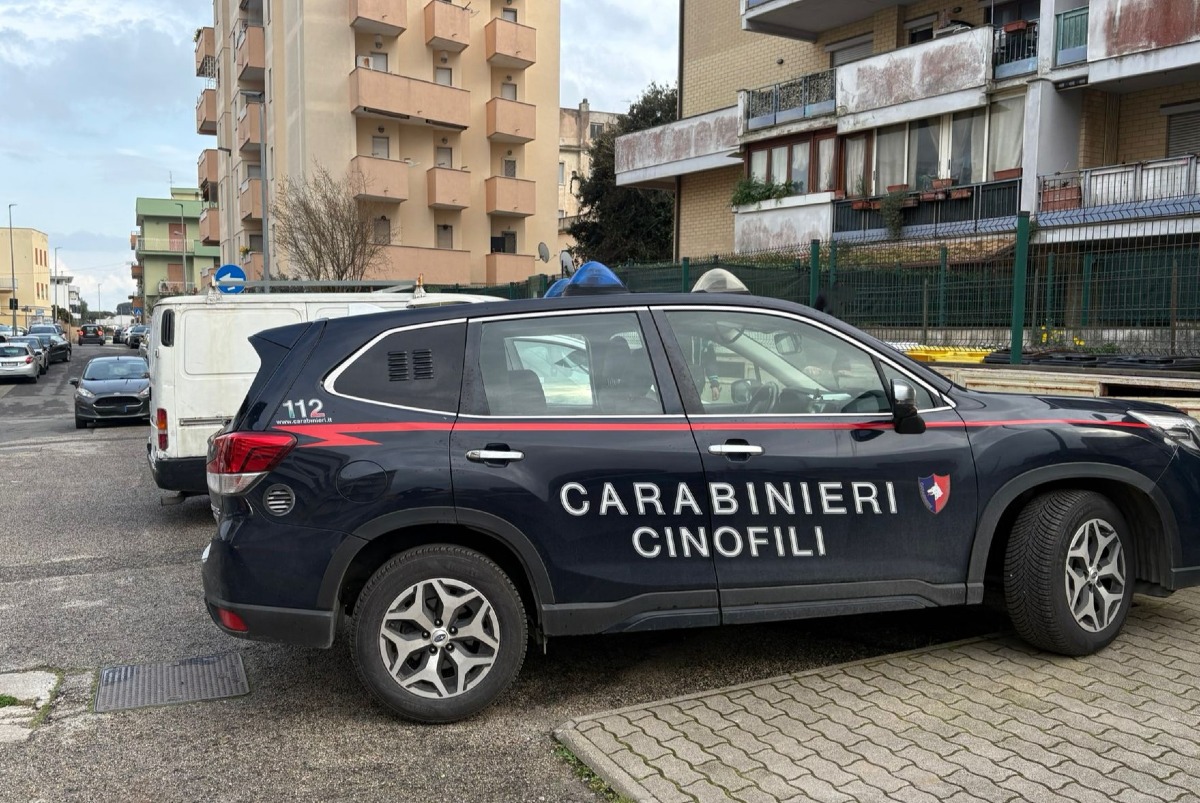 Controlli serrati ad Anzio e  Nettuno: 14enne a scuola con un coltello a serramanico e marijuana. - 