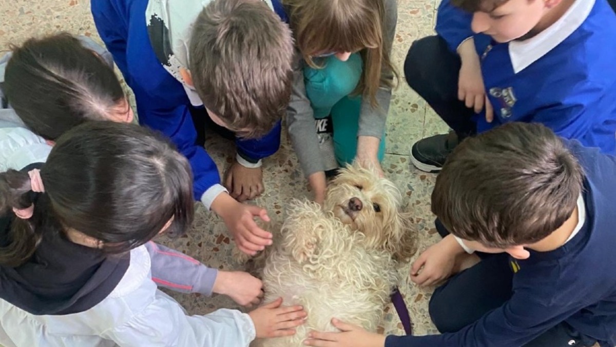 Pet therapy a scuola: al via il progetto all’Istituto “Pacifici” di Sezze e Bassiano. - 