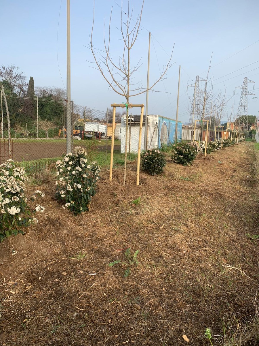 Cisterna, Piazza Nassiriya 