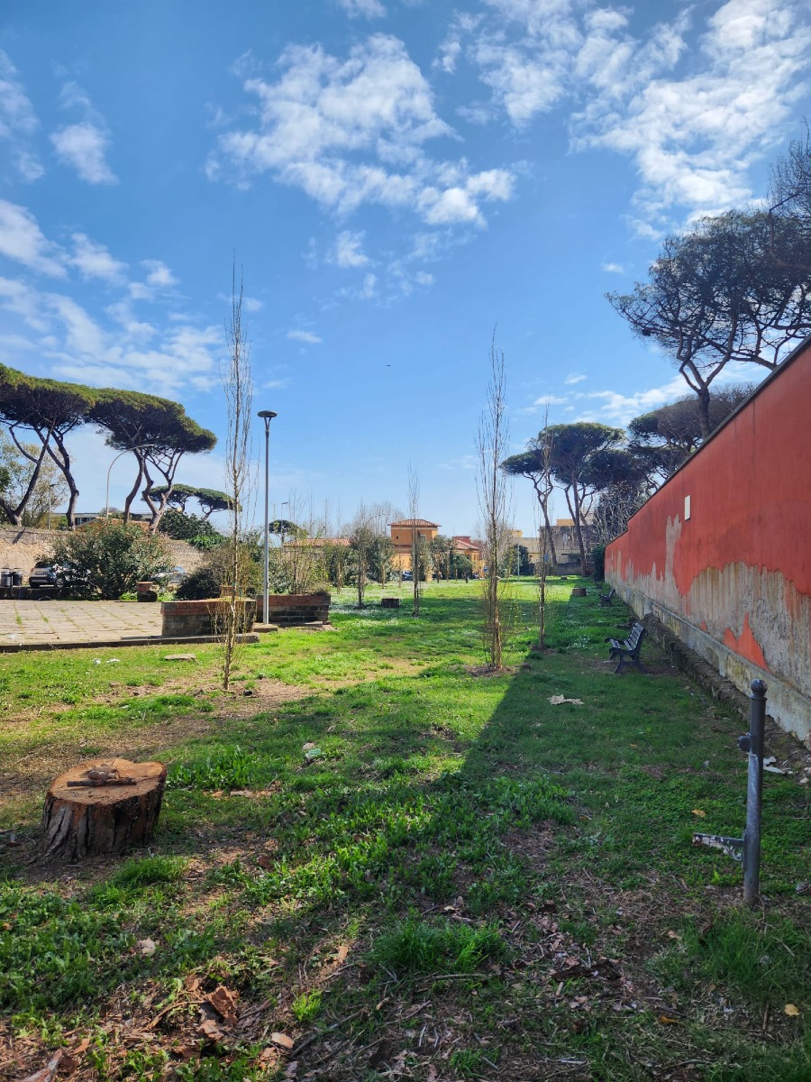 Anzio, la Pinetina di via Roma 