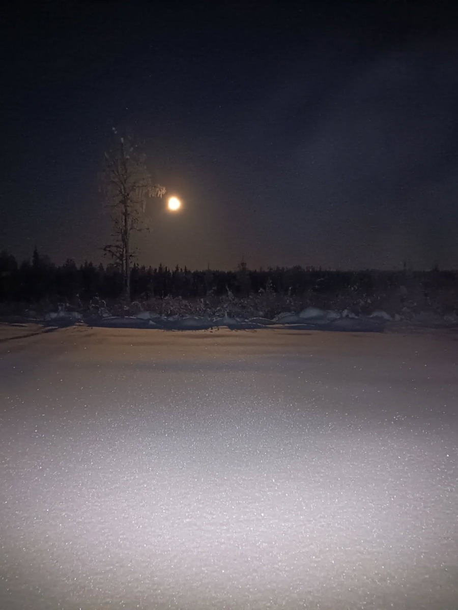 Giulio Pacchioni di Aprilia all’ultra-maratona artica della Lapponia.
