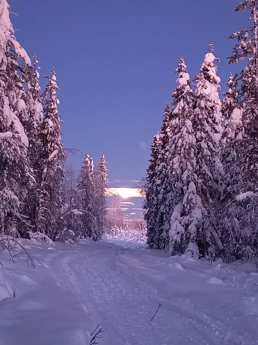Giulio Pacchioni di Aprilia all’ultra-maratona artica della Lapponia.