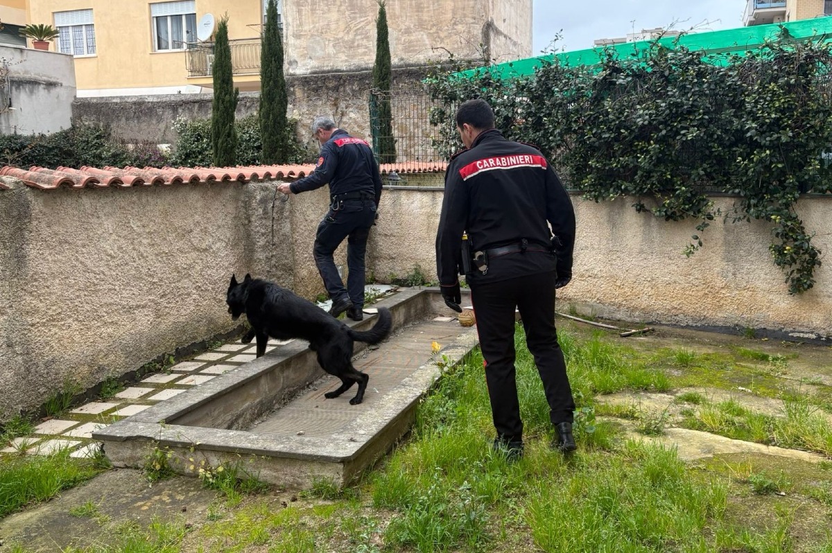 le attività dei Carabinieri tra Anzio e Nettuno