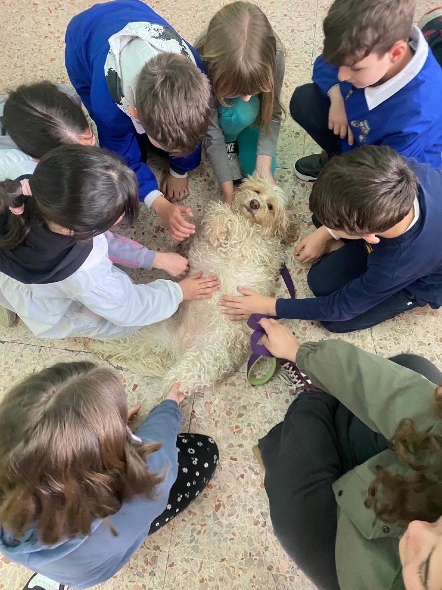 Sezze e Bassiano - Pet therapy a scuola