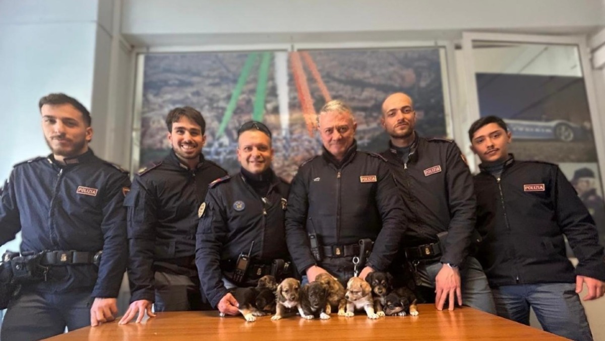 Otto cuccioli salvati “in corsa” dalla Polizia. - 