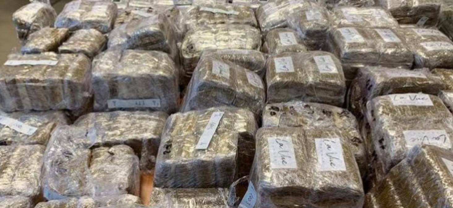 600 kg di droga nel tir, condannato a pochi anni di carcere - Foto di archivio 