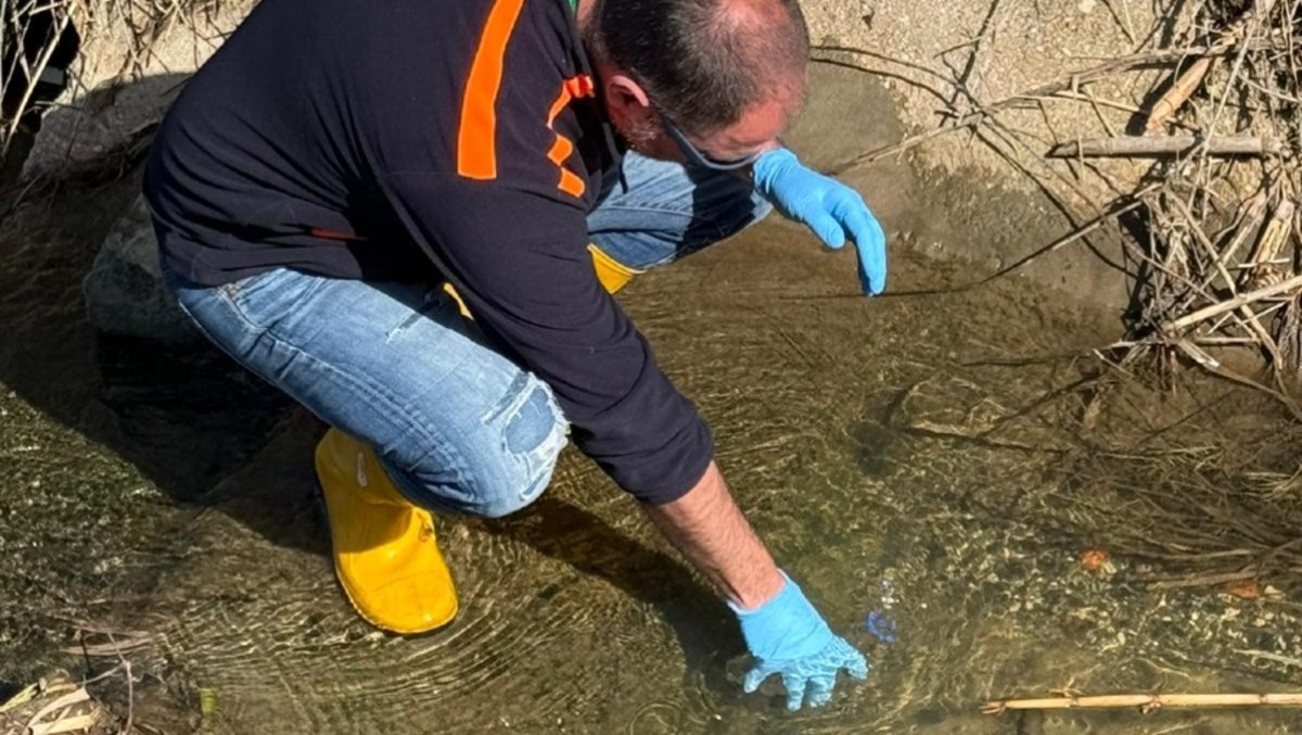 Inquinamento del Fosso dello Schiavo a Lavinio Mare: avviati gli accertamenti. - 