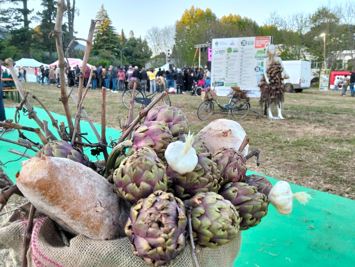 A Velletri questo fine settimana la Festa del Carciofo alla Matticella. - 
