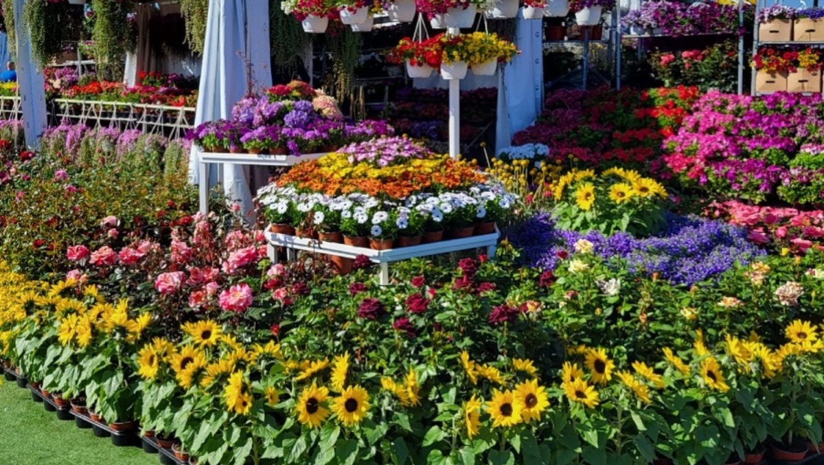 Mostra Agricola Campoverde: 150 eventi ed oltre 400 stand. - 