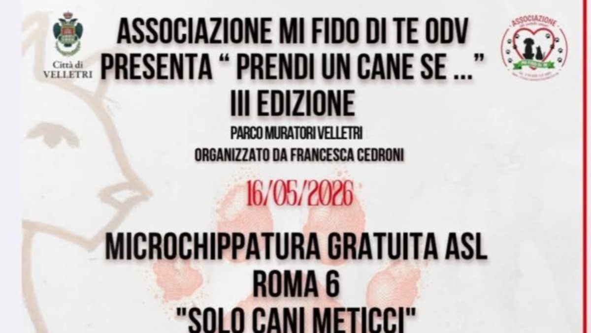 Torna a Velletri “Prendi un cane se…” - 
