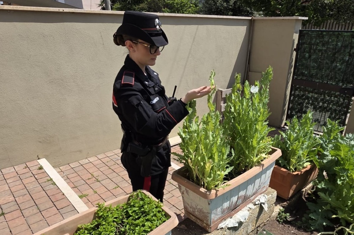 Spaccio di oppio a Nettuno, i carabinieri denunciano due giovani - 