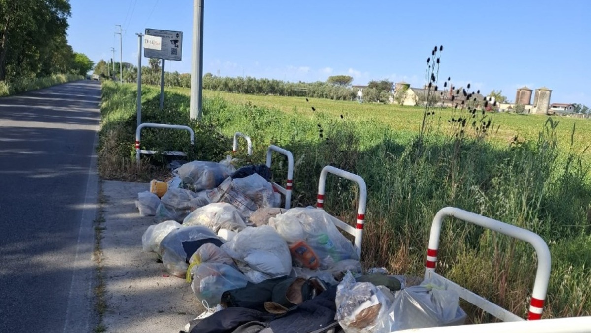 Aprilia, erba alta e discariche a Selciatella. La denuncia del comitato. - 
